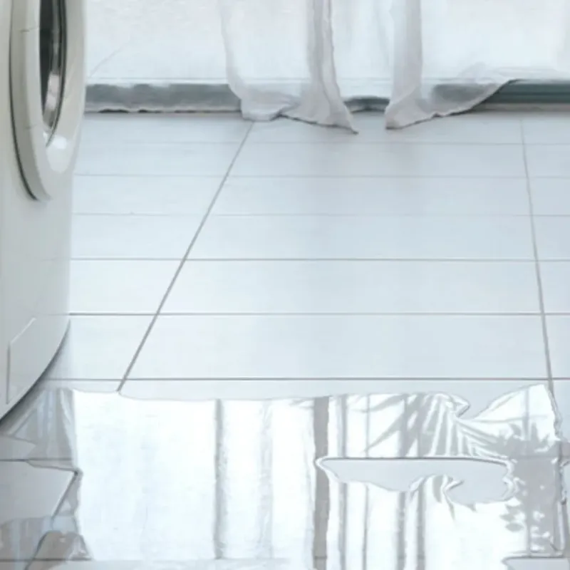 Appliance Leak Cleanup in Alexandria, VA