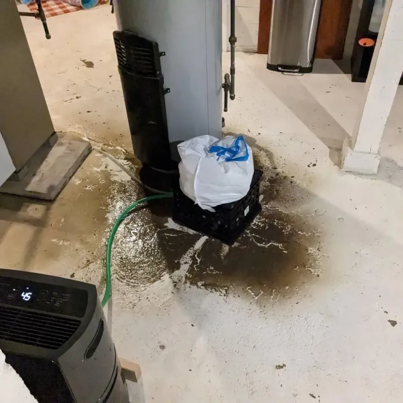 Sewage Backup Cleanup Service in Alexandria, VA
